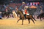 Cavalry - 00119